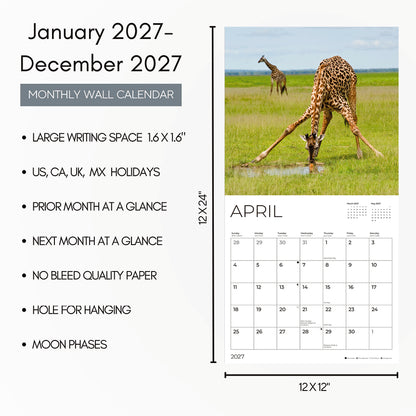 '27 Wall Calendar - Giraffes