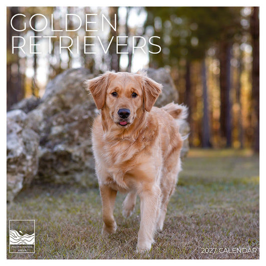 '27 Wall Calendar - Golden Retrievers