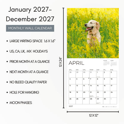 '27 Wall Calendar - Golden Retrievers