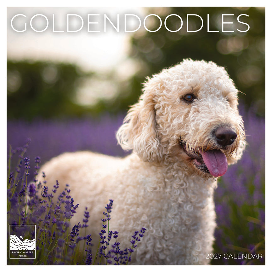'27 Wall Calendar - Goldendoodles