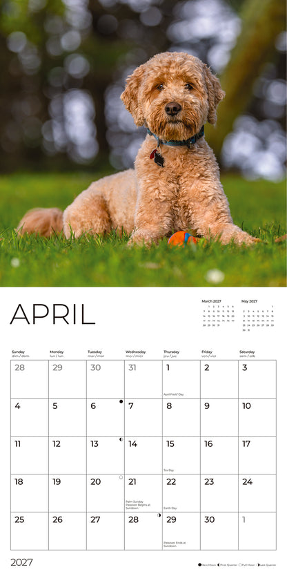 '27 Wall Calendar - Goldendoodles