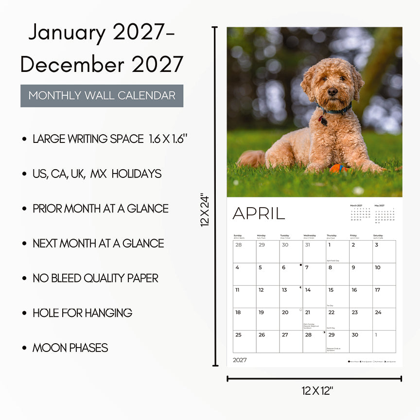 '27 Wall Calendar - Goldendoodles