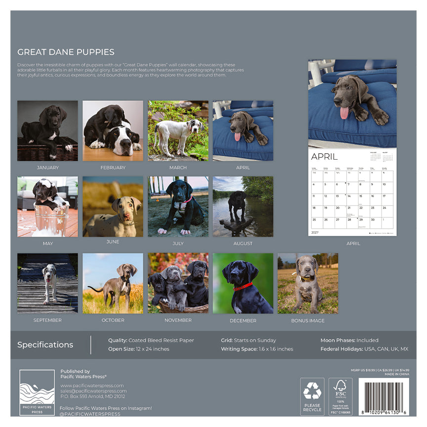 '27 Wall Calendar - Great Dane Puppies