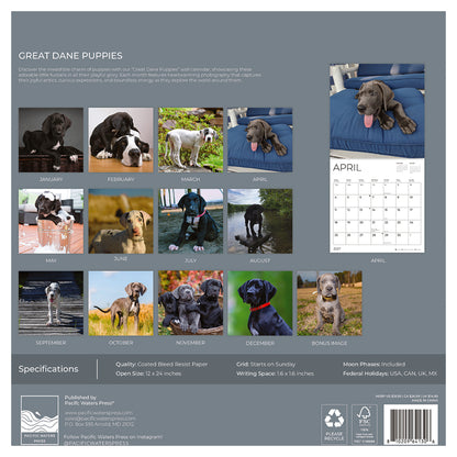 '27 Wall Calendar - Great Dane Puppies