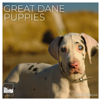 '27 Wall Calendar - Great Dane Puppies