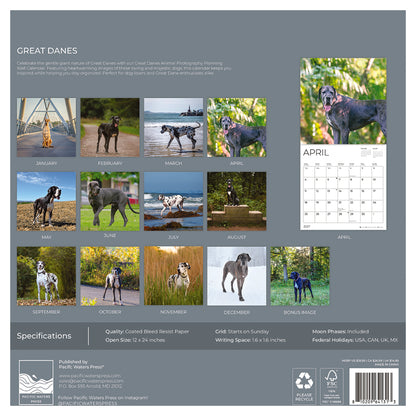 '27 Wall Calendar - Great Danes