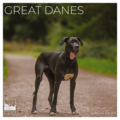 '27 Wall Calendar - Great Danes
