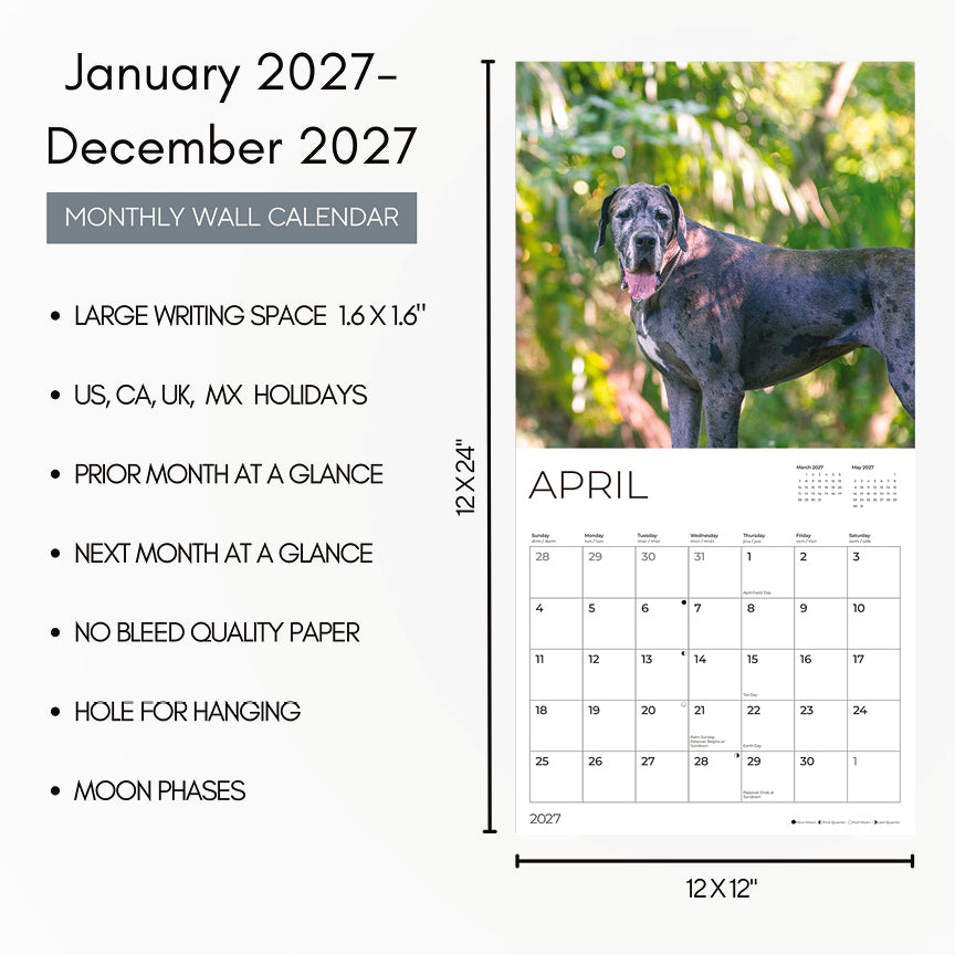 '27 Wall Calendar - Great Danes