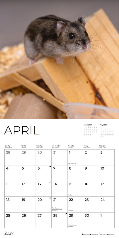 '27 Wall Calendar - Hamsters