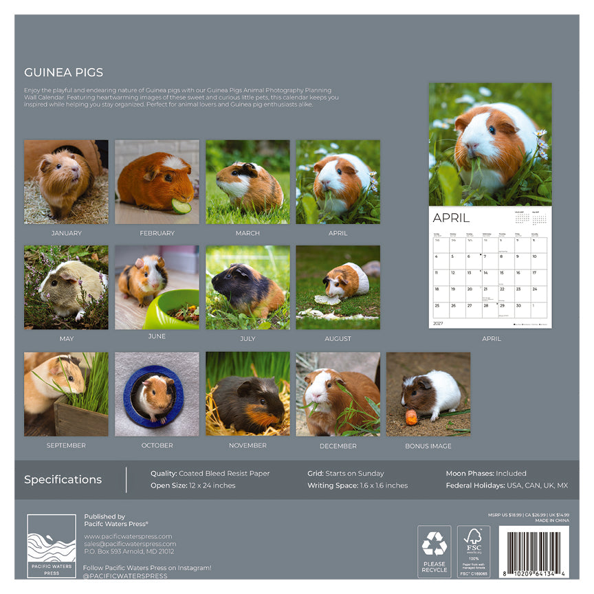 '27 Wall Calendar - Guinea Pigs