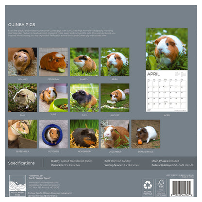 '27 Wall Calendar - Guinea Pigs