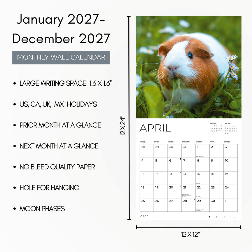 '27 Wall Calendar - Guinea Pigs