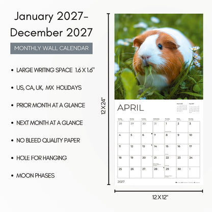 '27 Wall Calendar - Guinea Pigs