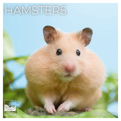 '27 Wall Calendar - Hamsters