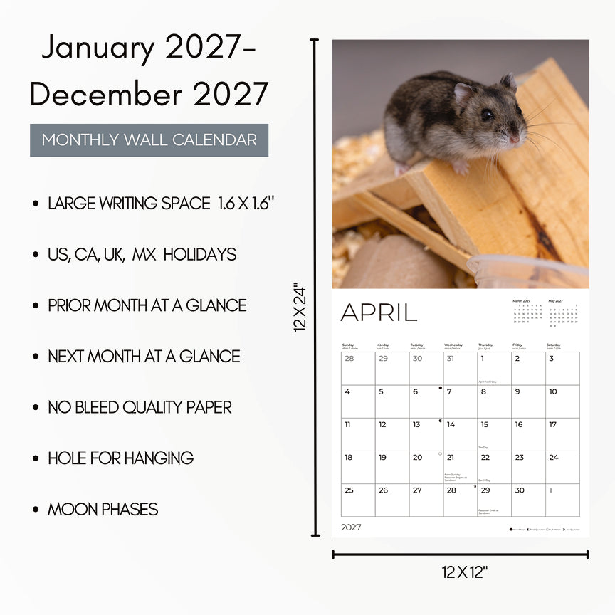 '27 Wall Calendar - Hamsters