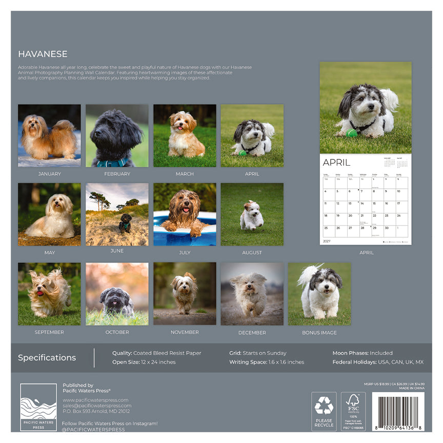 '27 Wall Calendar - Havanese
