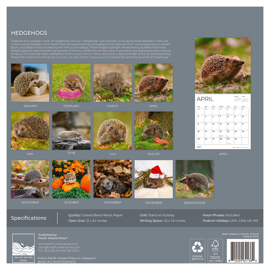 '27 Wall Calendar - Hedgehogs