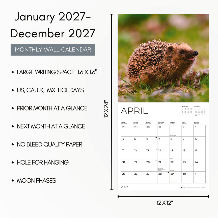 '27 Wall Calendar - Hedgehogs