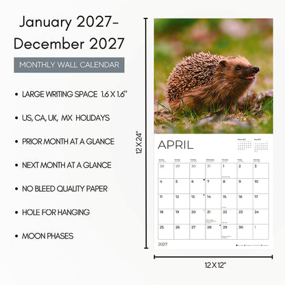 '27 Wall Calendar - Hedgehogs