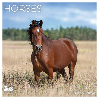'27 Wall Calendar - Horses