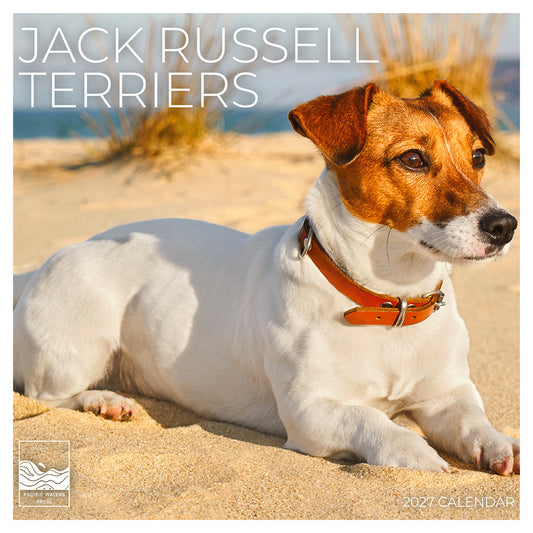 '27 Wall Calendar - Jack Russell Terriers
