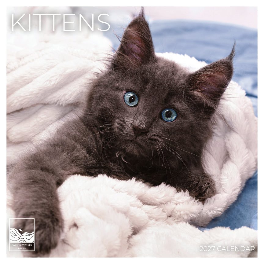'27 Wall Calendar - Kittens