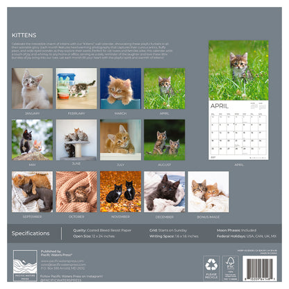 '27 Wall Calendar - Kittens