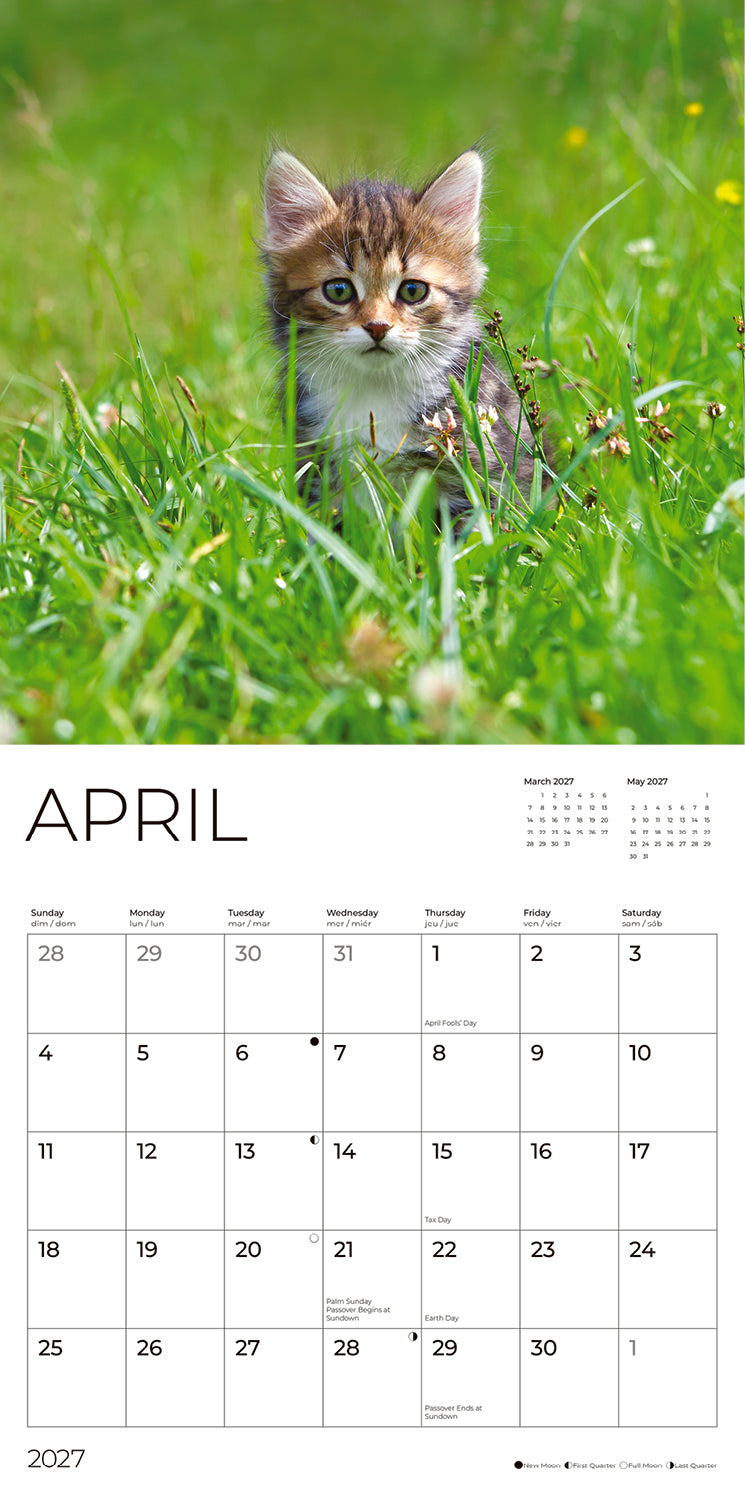 '27 Wall Calendar - Kittens