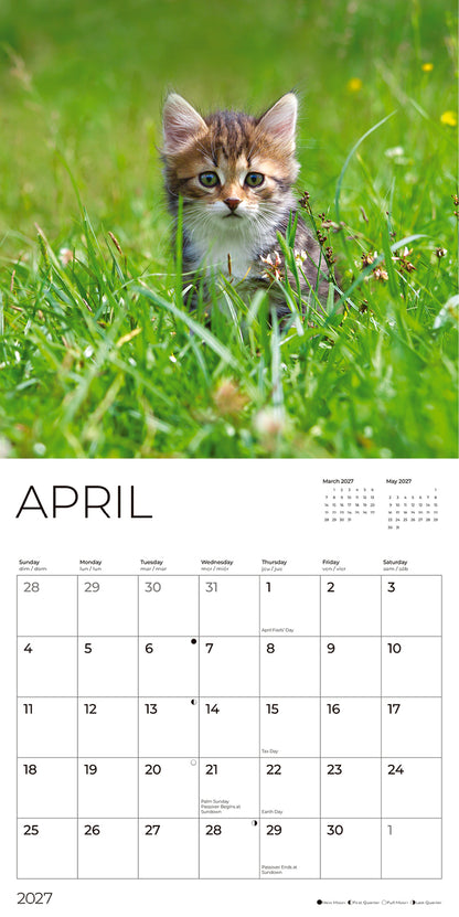 '27 Wall Calendar - Kittens