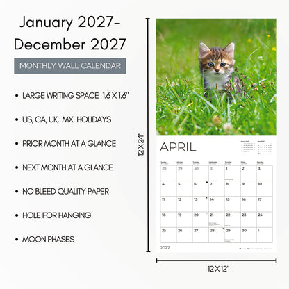 '27 Wall Calendar - Kittens