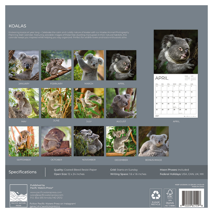 '27 Wall Calendar - Koalas