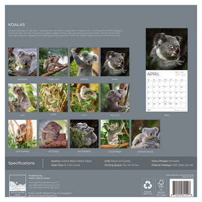 '27 Wall Calendar - Koalas