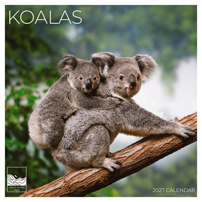 '27 Wall Calendar - Koalas