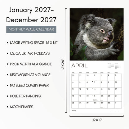 '27 Wall Calendar - Koalas