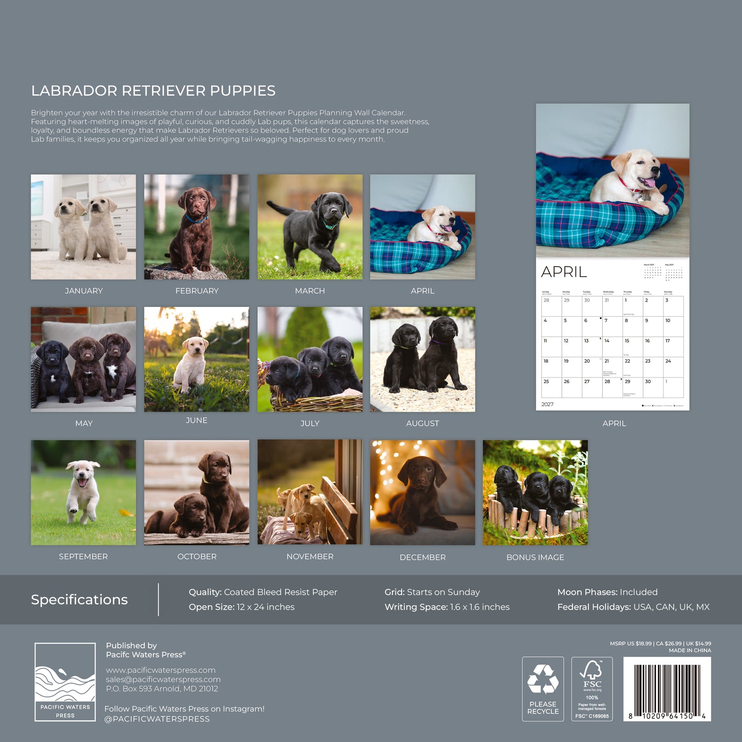 '27 Wall Calendar - Black Lab Puppies