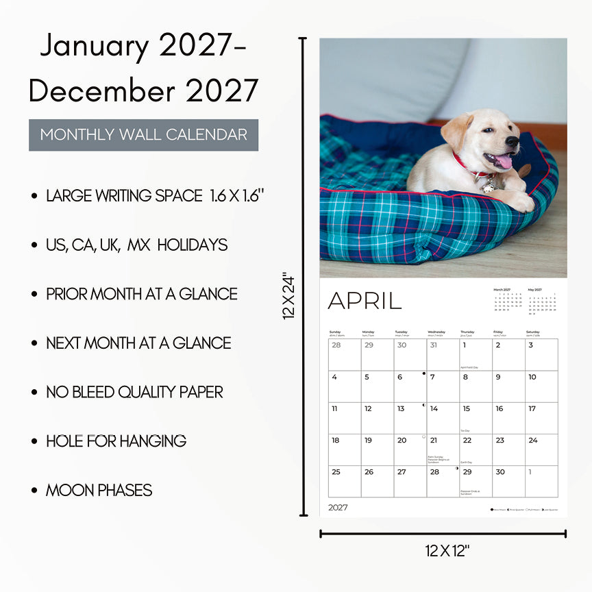 '27 Wall Calendar- Labrador Retriever Puppies