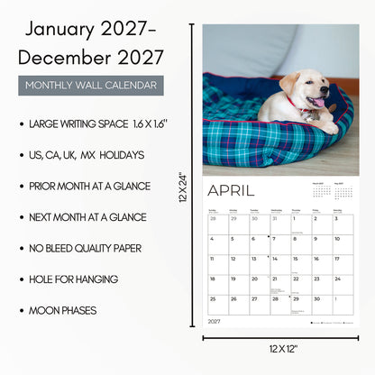 '27 Wall Calendar- Labrador Retriever Puppies