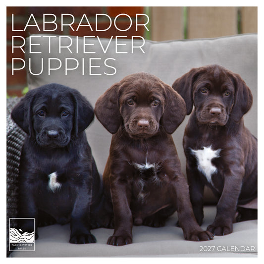 '27 Wall Calendar- Labrador Retriever Puppies