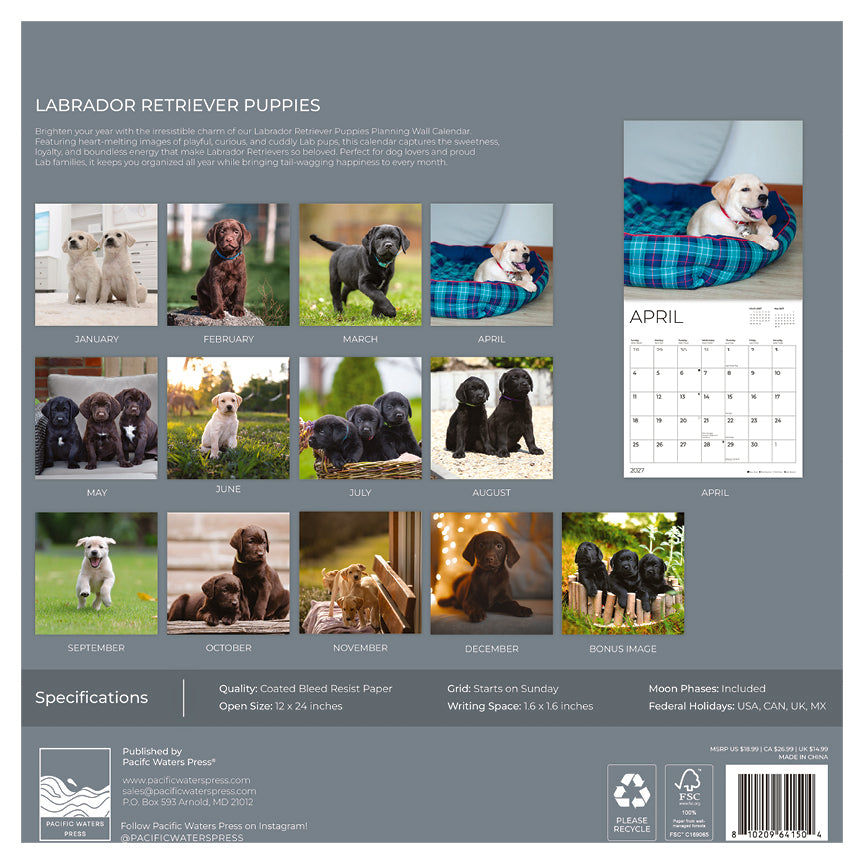 '27 Wall Calendar- Labrador Retriever Puppies