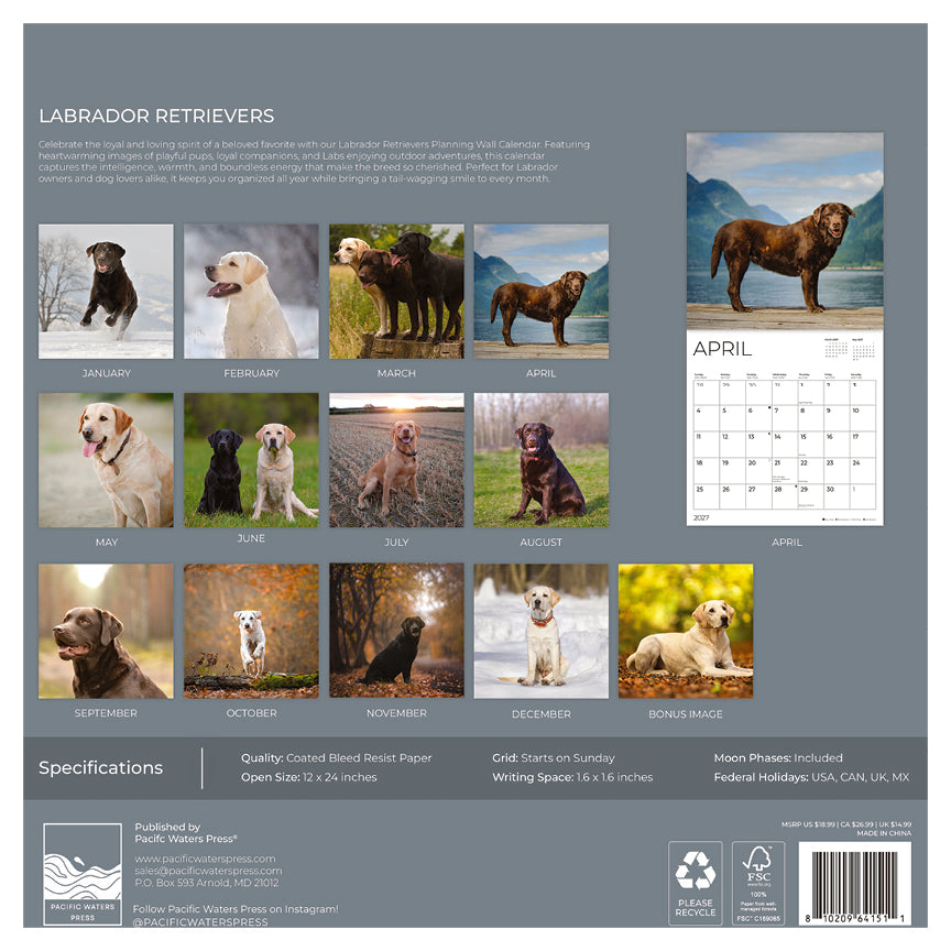 '27 Wall Calendar - Labrador Retrievers