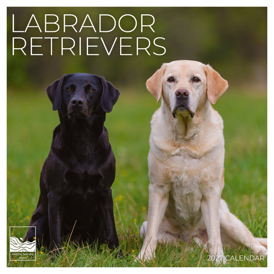 '27 Wall Calendar - Labrador Retrievers