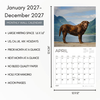 '27 Wall Calendar - Labrador Retrievers