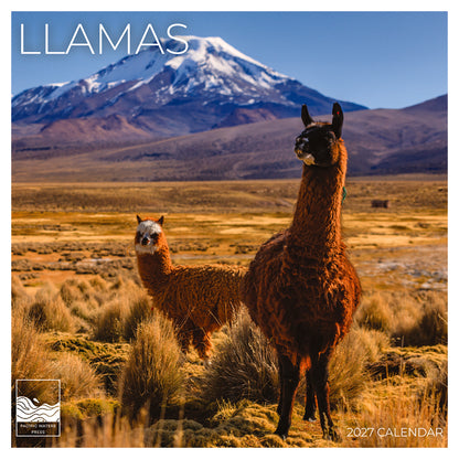 '27 Wall Calendar - Llamas