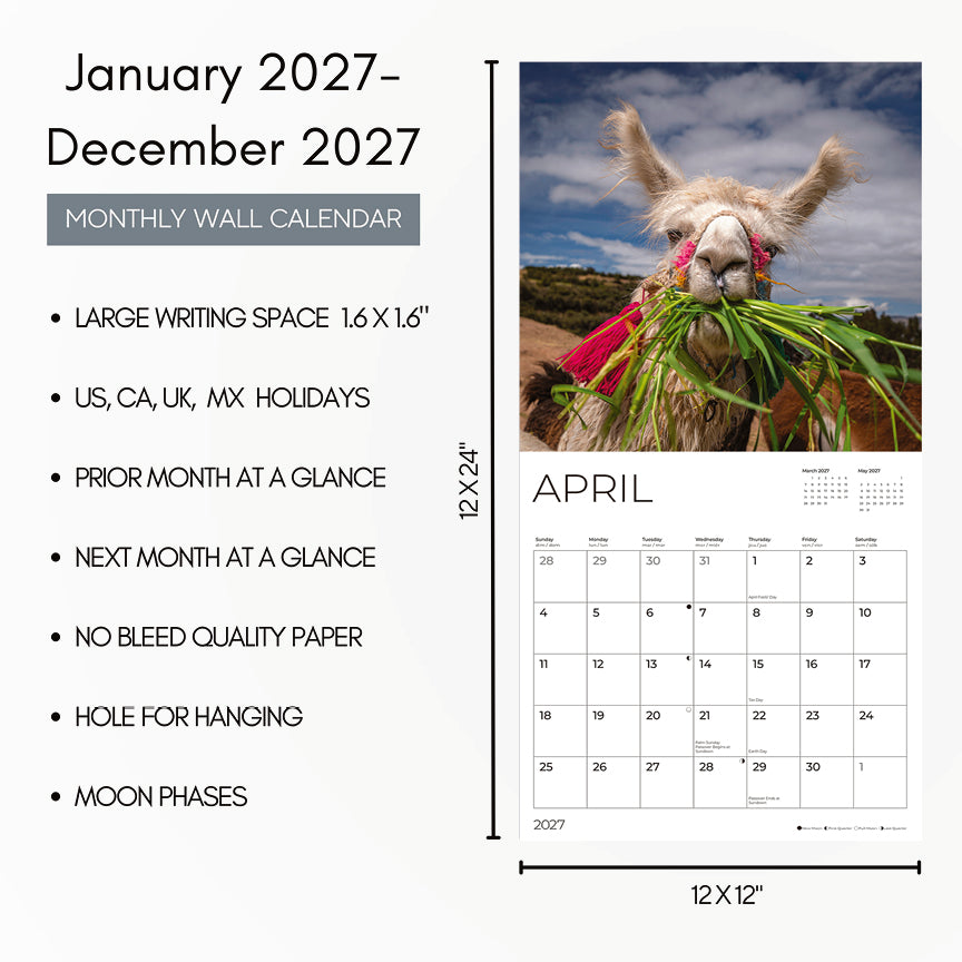'27 Wall Calendar - Llamas