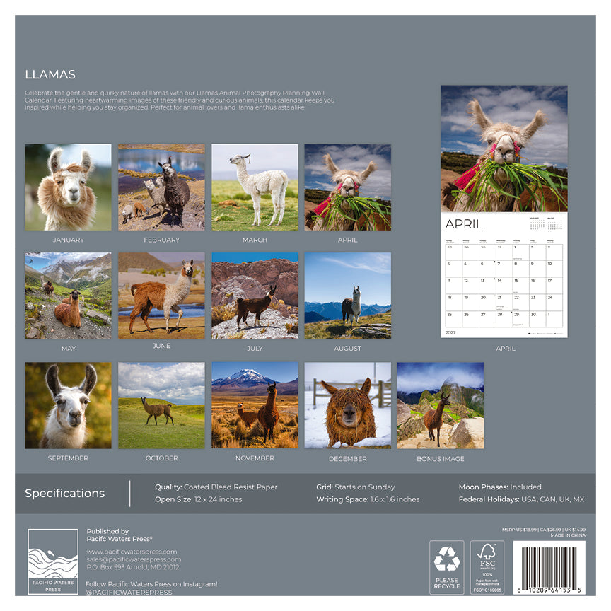 '27 Wall Calendar - Llamas