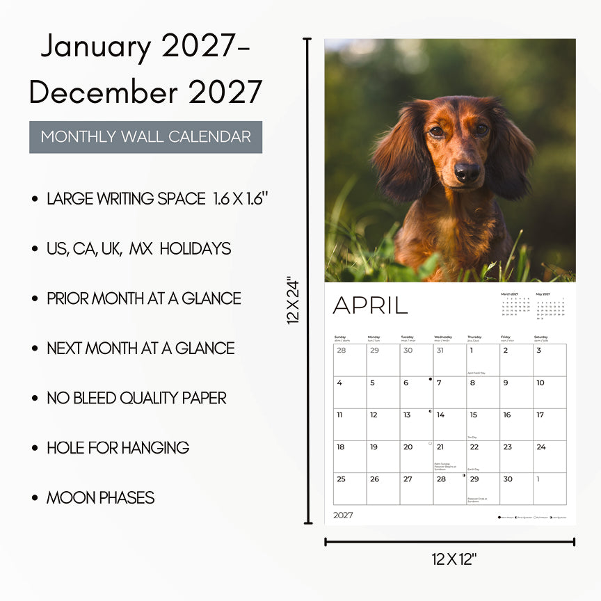 '27 Wall Calendar - Longhaired Dachshunds