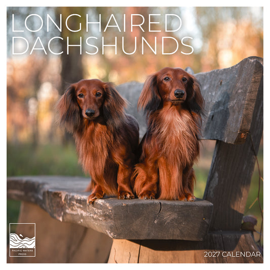 '27 Wall Calendar - Longhaired Dachshunds