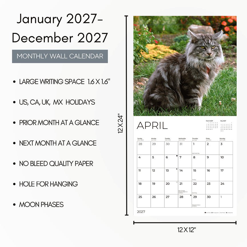 '27 Wall Calendar - Maine Coon Cats