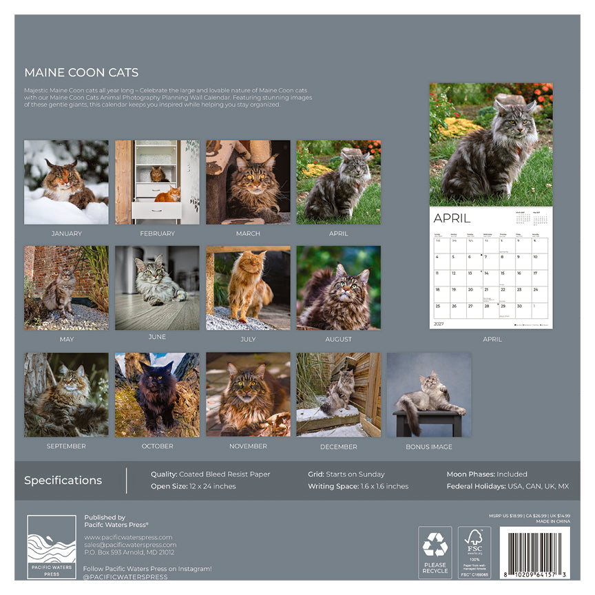 '27 Wall Calendar - Maine Coon Cats