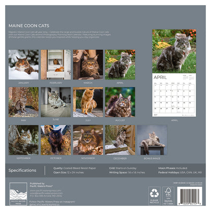 '27 Wall Calendar - Maine Coon Cats